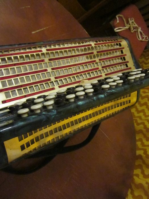 Баян Полісся