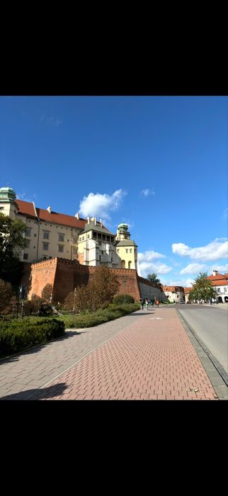 Lokal handlowy ul. Stradomska.