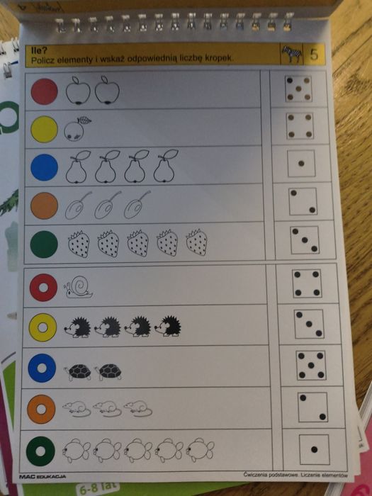 Logico piccolo różowa ortografia liczenie elementów