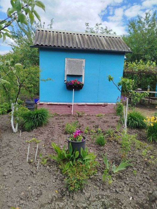 Фото ділянки