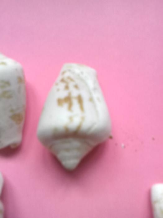 Продам ракушки недорого