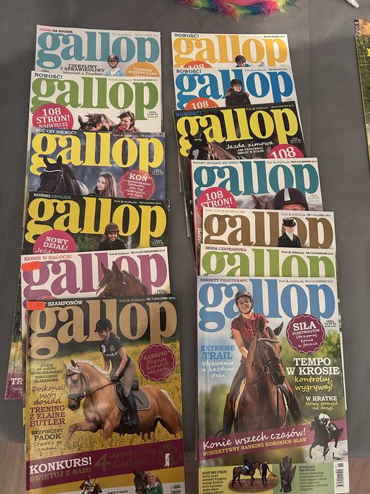 Gallop koń polski gazety