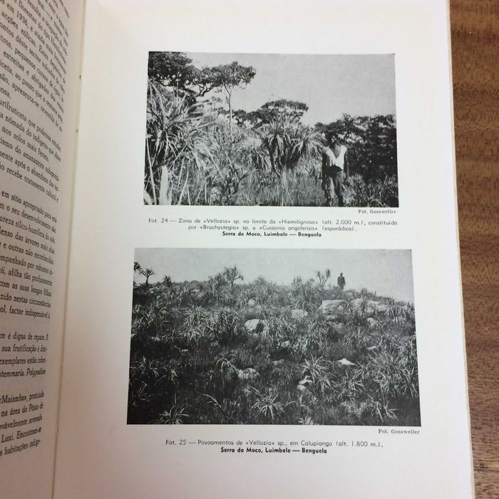 Livro Carta fitogeográfica de Angola