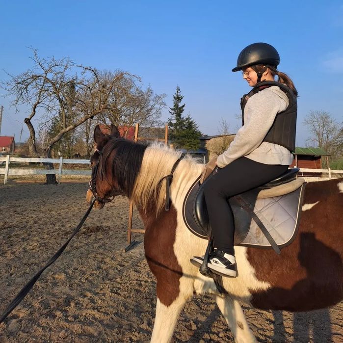 Sprzedam klacz sport/rekreacja/Hipoterapia