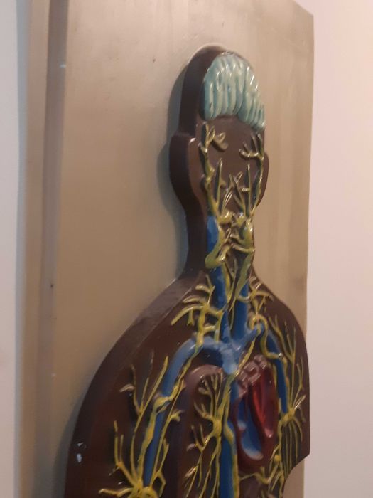 Навчальна та наглядна біологія з листового пластику. Барельєф 2.СРСР.