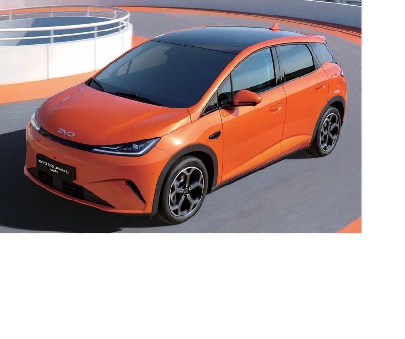 BYD Pozostałe BYD