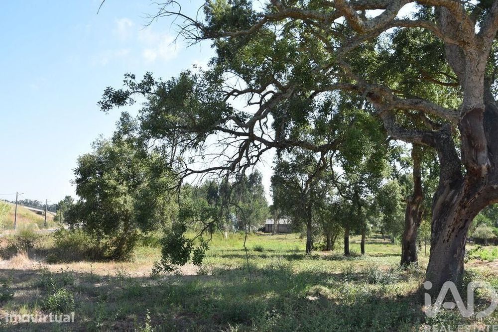 Terreno para construção em Amor de 2619,00 m2
