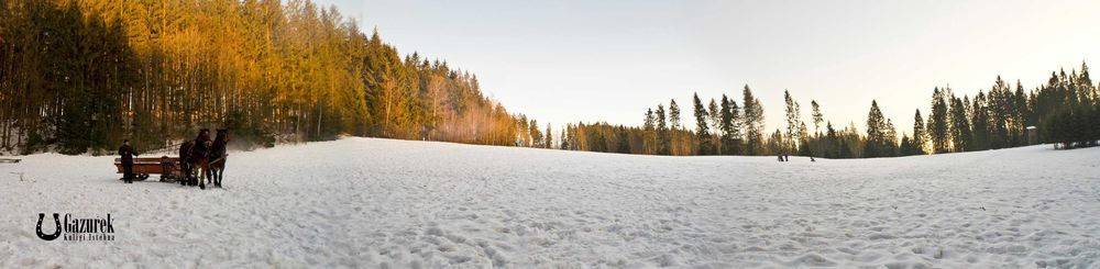 Kuligi w Istebnej Adam Gazurek