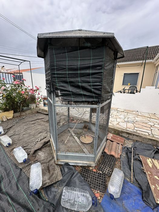 Gaiola de exterior com periquitos