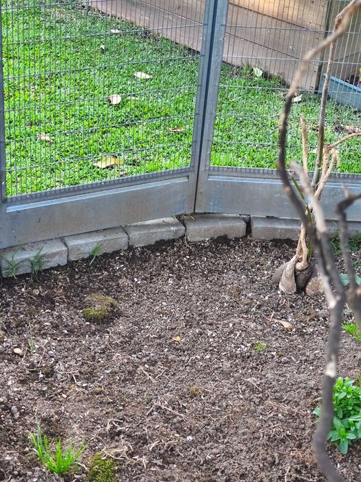 Magnífico Viveiro/Gaiola de Jardim Hexagonal – 2,60m (Como Novo)