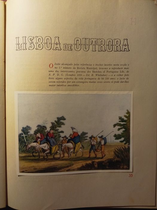 Revista Municipal