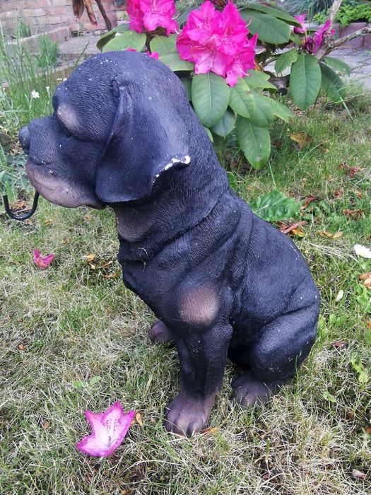 Figurki ogrodowe Psy Bokser i Rottweiler z haczykami – solidne 30 i 40cm