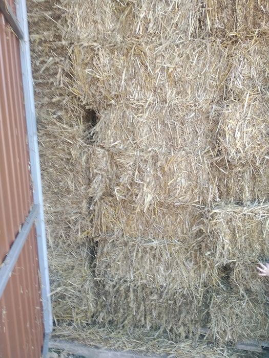 Продам тюки соломи