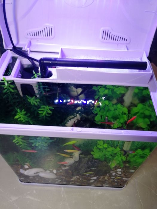 Акваріумний набір з рибками 10л | Доставка Київ