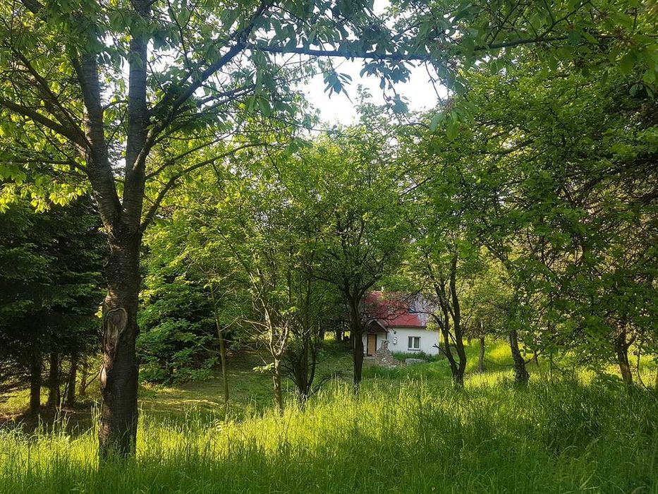 Siedlisko pod Rzeszowem – Królka, Tyczyn | 0,5085 ha | widokowa działka z mediami i domem - Więcej