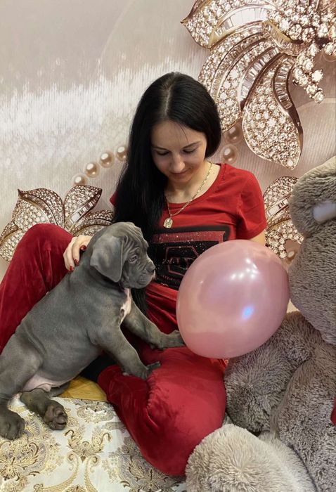 Онуки  Хамера  Київського-чемпіона цілого світу