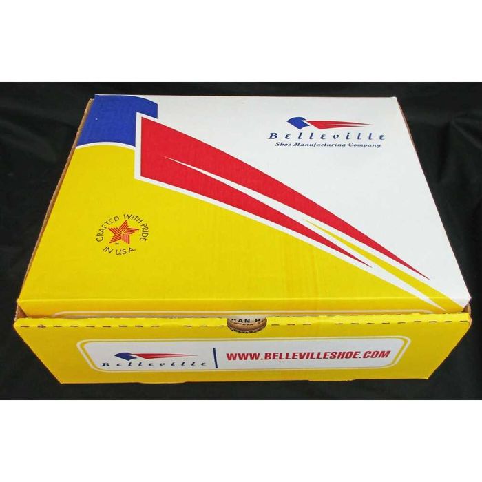 Берці армійські всесезонні Belleville 790G Gore Tex 46 - 47 розмір