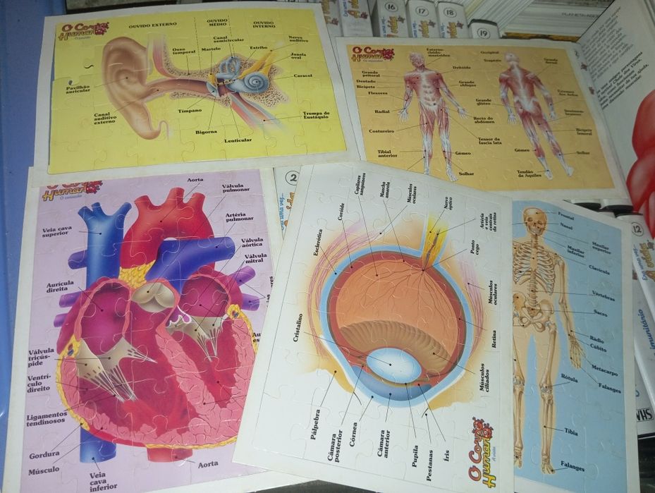 Coleção "Era uma vez o Corpo Humano"Planeta Agostini