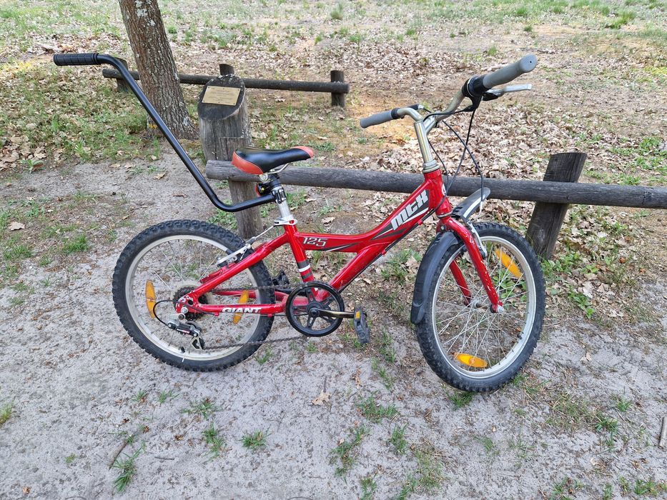 Rower dziecięcy Giant 20"