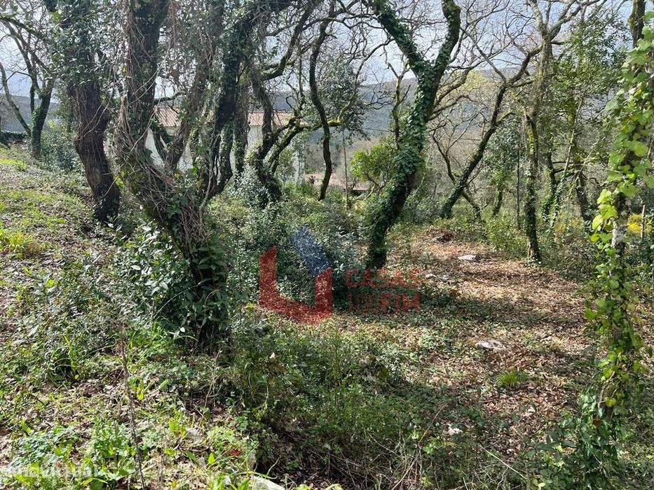 Terreno urbano com 1.700m2 em Alvados, Porto de Mós