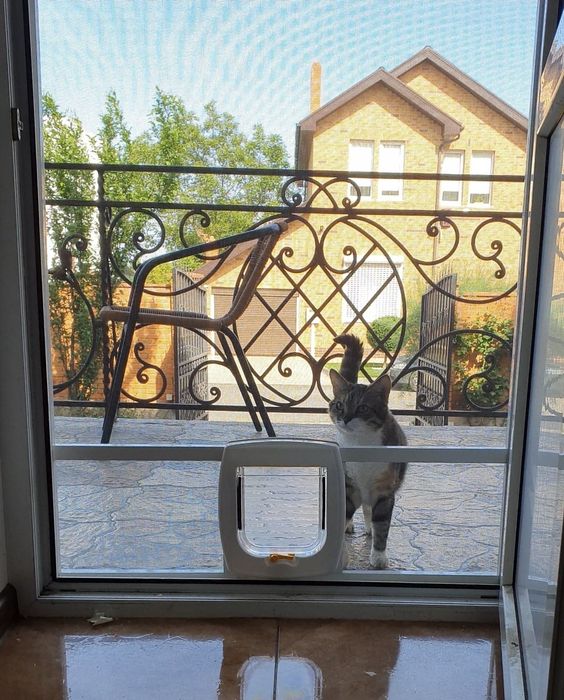Сетка для кошек, антикошка