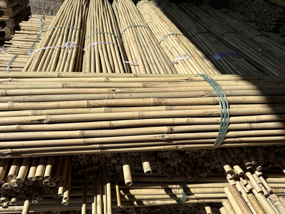 Tyczka bambusowa 20/22 210 tyczka sadownicza bambusowa