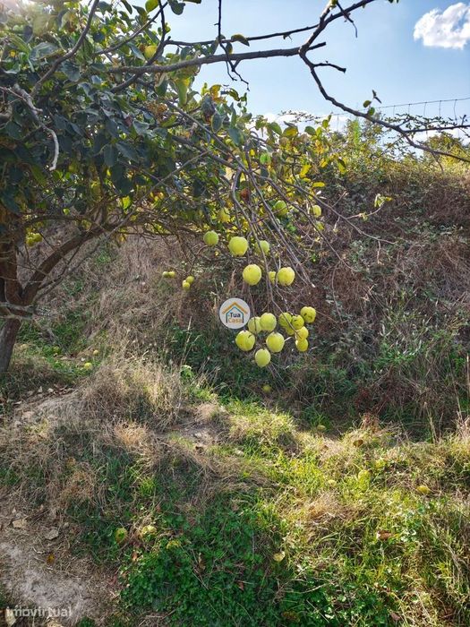 Moradia T2 em Pedra com Charca — Donas, Fundão Uma Rara Oportunidade n