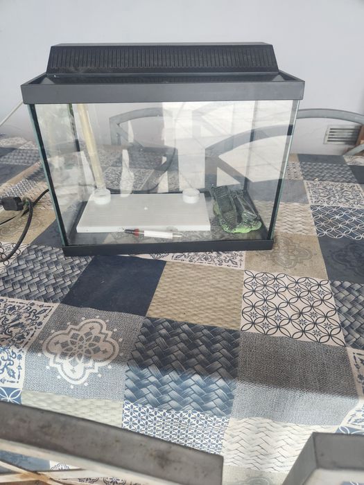 Aquário  peixes agua fria