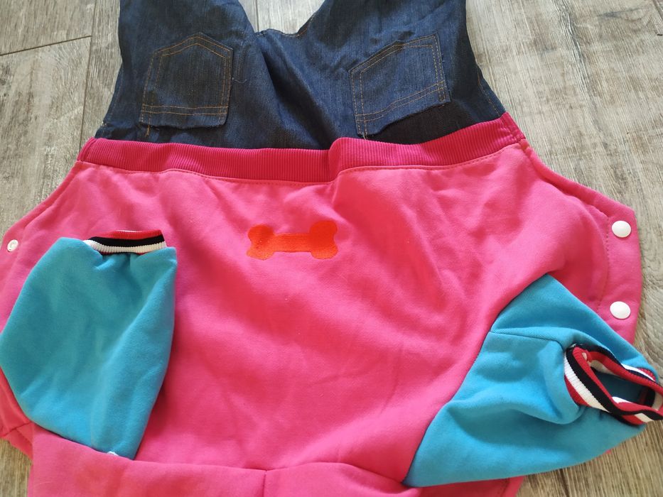 Костюм для собак