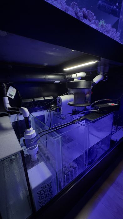 Aquário completo, com sump e móvel