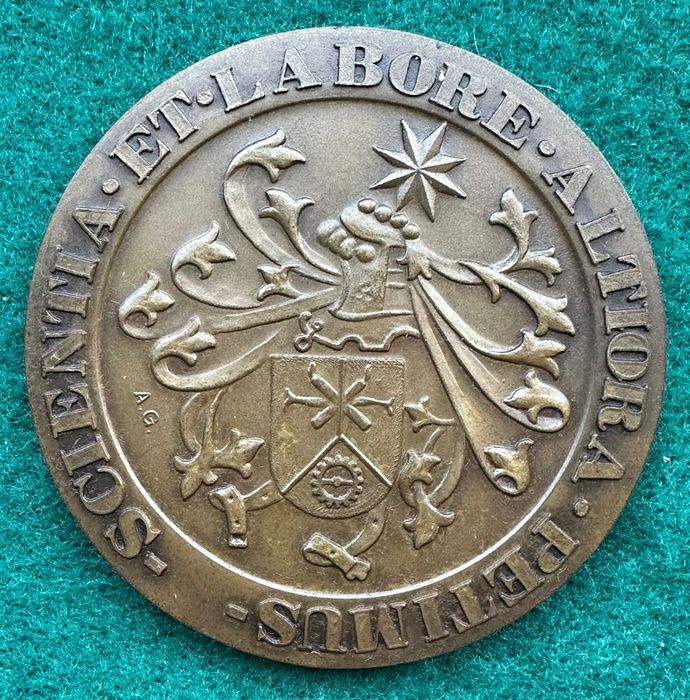 Medalha comemorativa em bronze