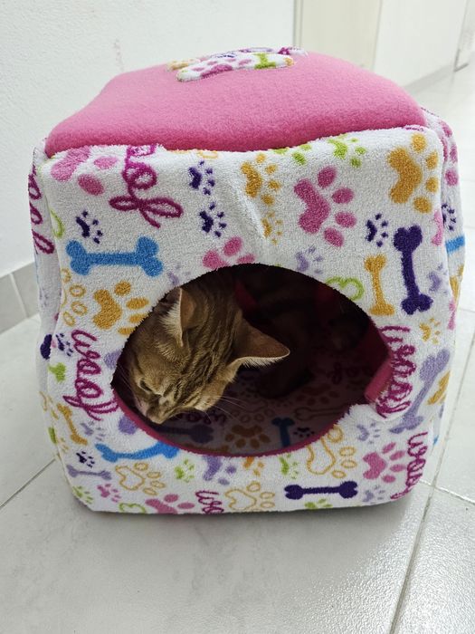 Cama toca para cão ou gato