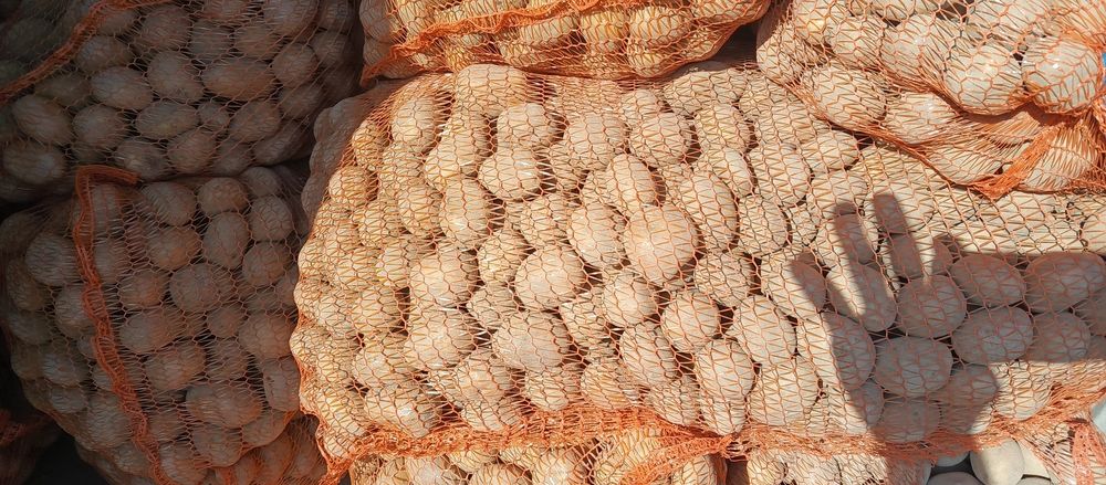 Ziemniaki wielkości Sadzeniaka  Red Sonia  ,Belaroza, Soraya.