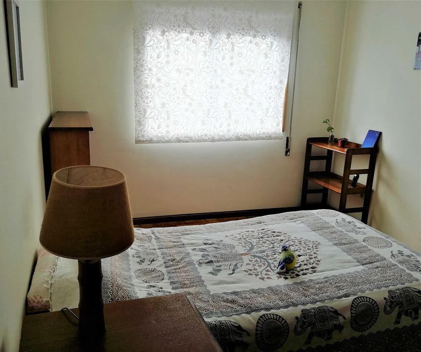 Quartos Perto do Polo Universitario e Hosp S. Joao com Autocarro na Porta 290€ ou 380€