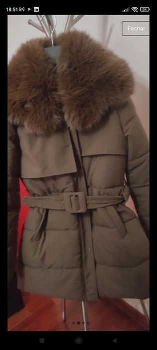 Kispo castanho chocolate