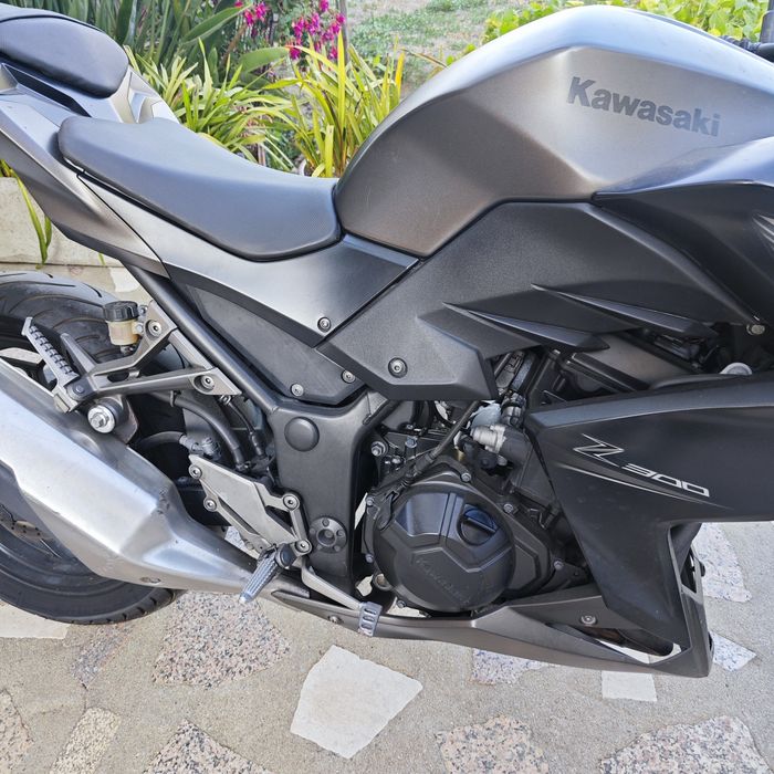 Kawasaki Z300 2015