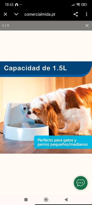 Bebedouro para animal