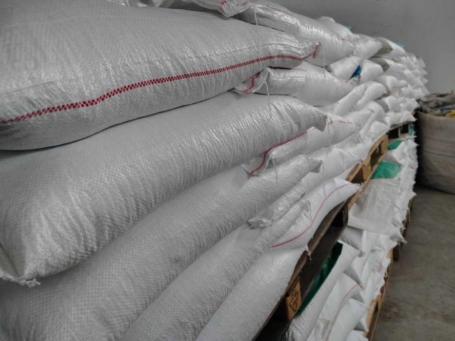 łubin wąskolistny KARO c/1 kwalifikat (owies, jeczmień, kukurydza)