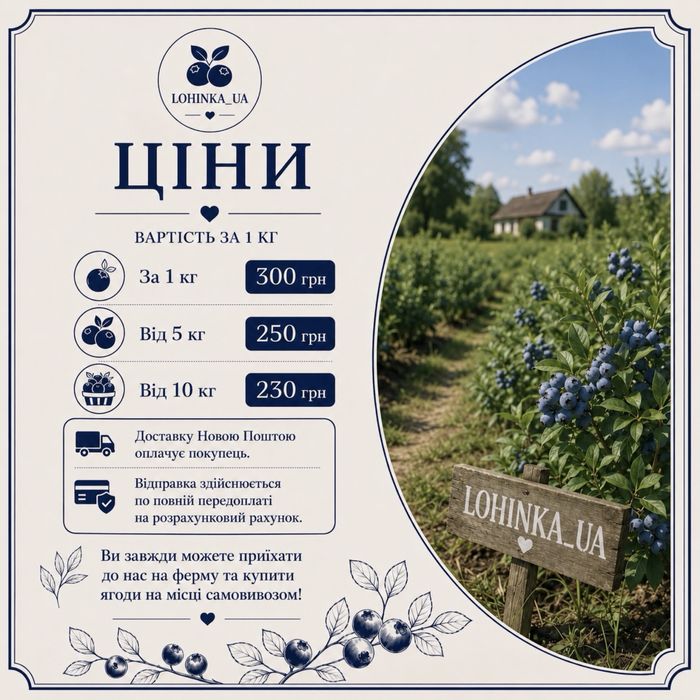 Лохина ягоди новою поштою