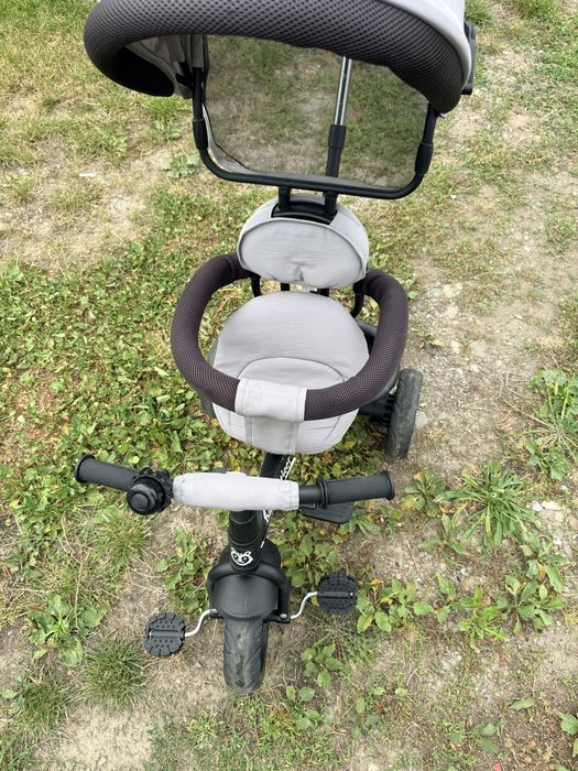 Дитячий триколісний велосипед Baby Tiger з ручкою та капюшоном