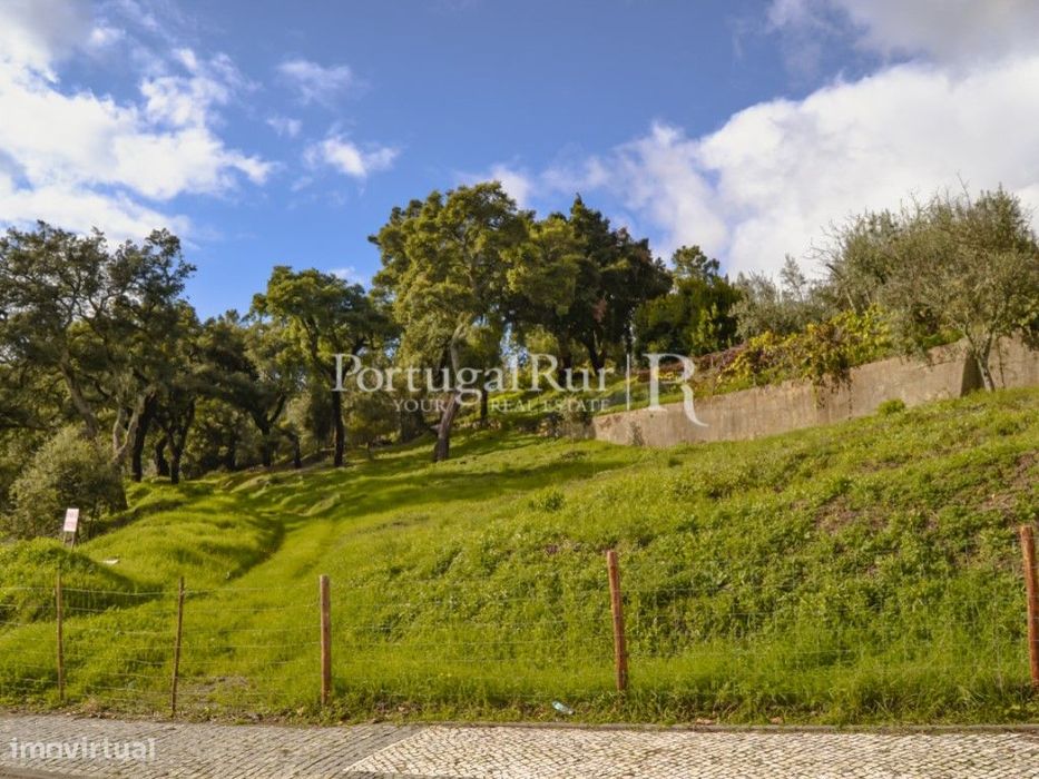 Terreno apto para construção de Moradia — Proença-A-Nova E Peral, Castelo Branco