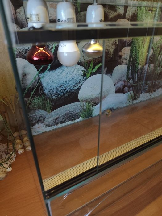 Terrarium szklane 100×40×50 cm używane | Poznań