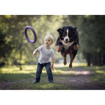 Тренувальний снаряд Puller