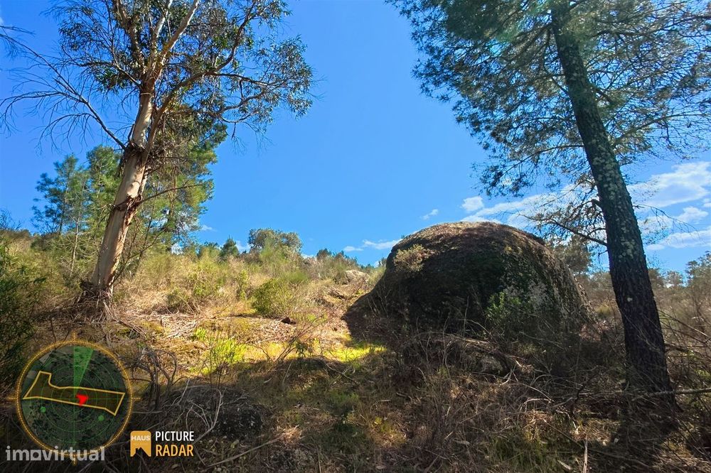 Terreno 1.1ha com Ruína e Vale Fértil | Cafede, Castelo Branco