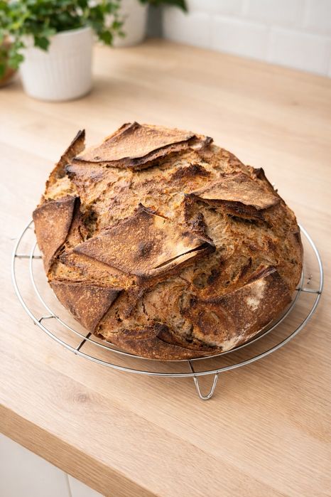 Суха Житня закваска