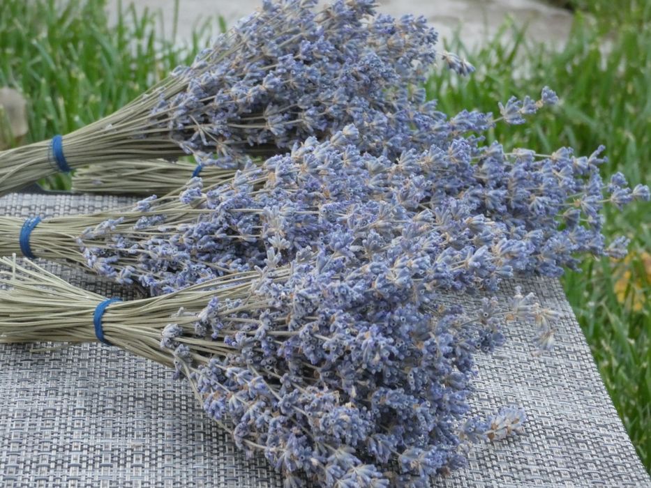 Лаванда сушена, ароматний букетик, сухоцвіт, чай,