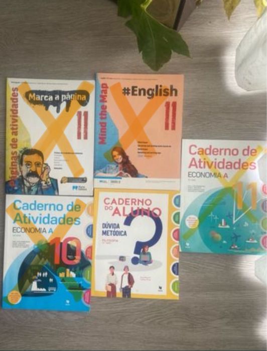 Cadernos de atividades