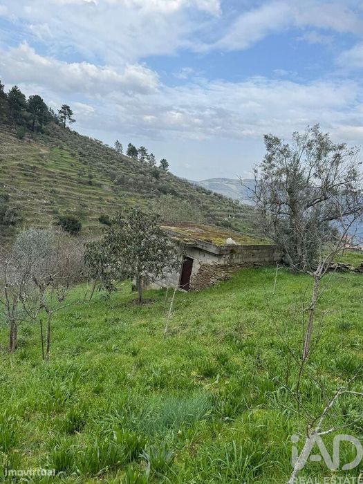 Terreno Agrícola em Tabuaço