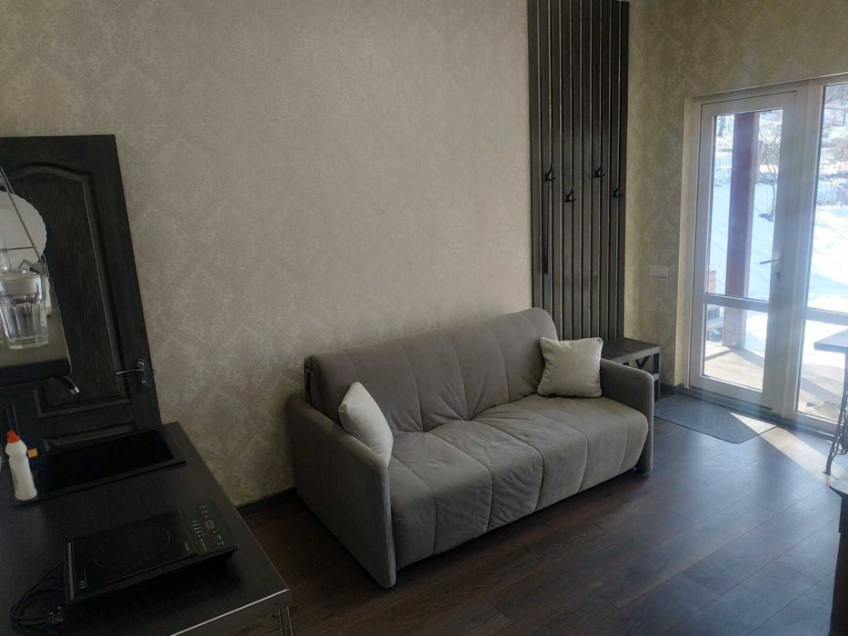 Будинок з басейном і сауною (входить у вартість)  біля Ходосівки