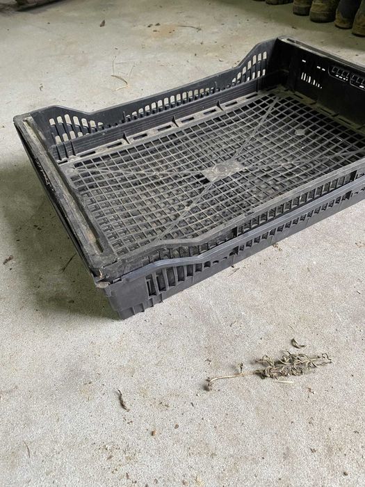 Caixas de plástico preto